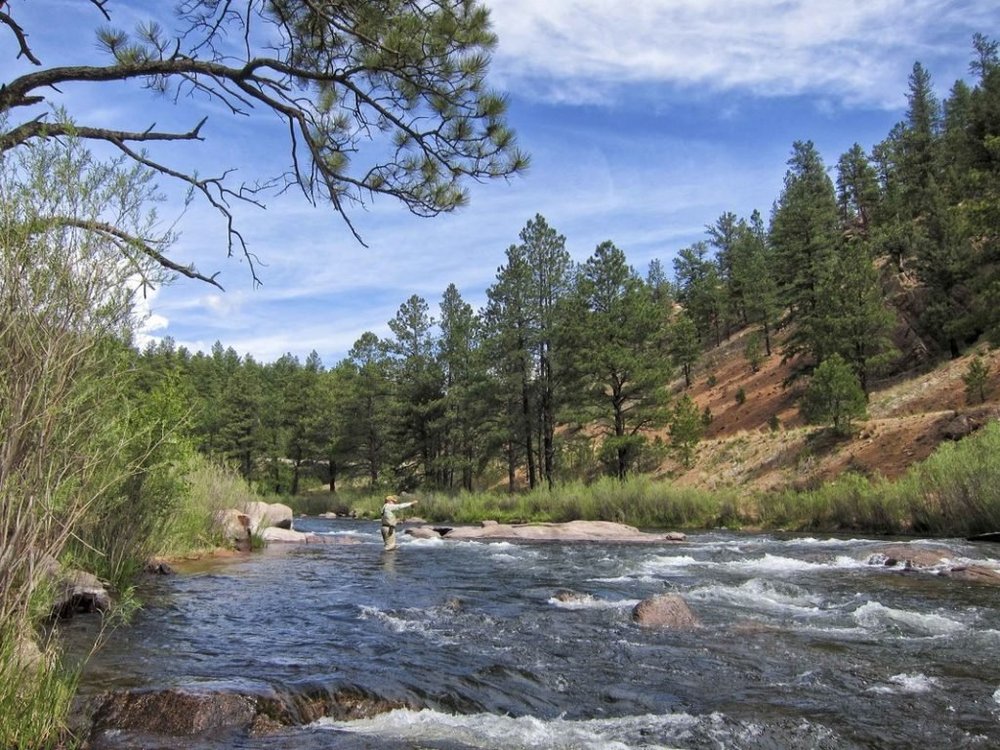 South Platte River fly fishing